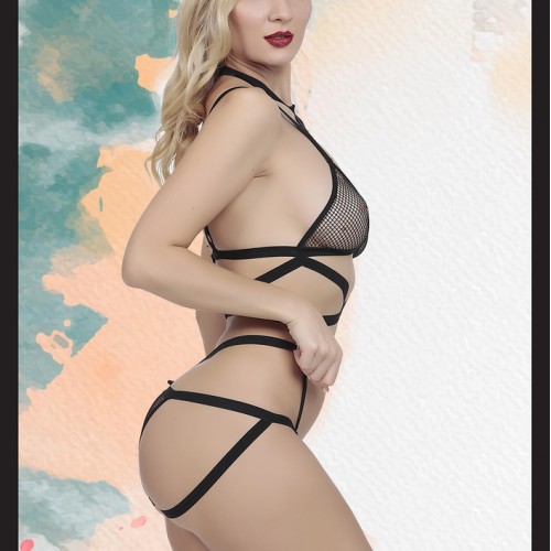 Kadın Siyah File Detaylı Fantezi İç Çamaşır Takımı