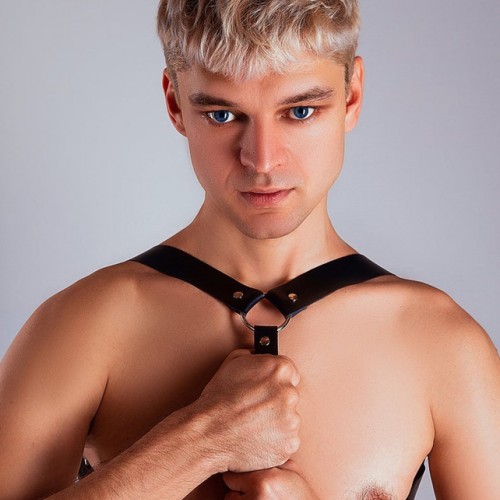 Seksi Erkek Fantazi Giyim - APFTM16