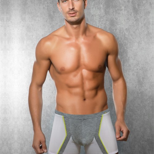 Doreanse Elegant Erkek Boxer 1720