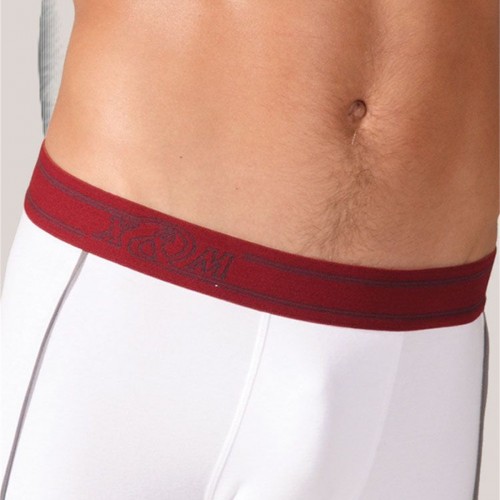 X-Man Beyaz  Erkek Boxer 742